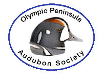Olympic Peninsula Audubon Society